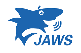 Opens in new tab: JAWS Screen Reader